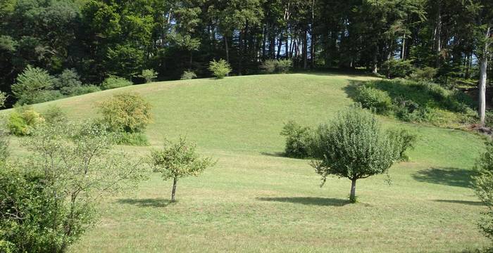 Naturschutzgebiet Rütihard