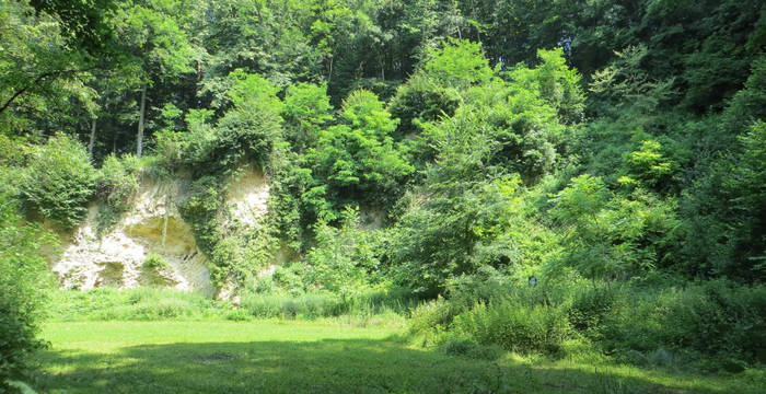 Naturschutzgebiet Horngraben Muschelkalkwand