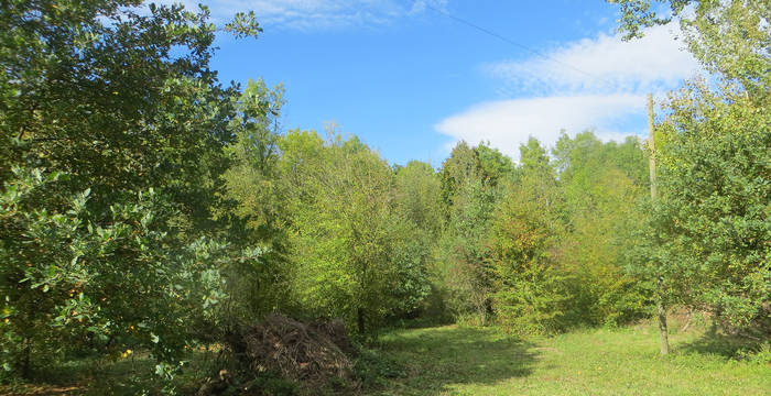 Schutzgebiet Etzmatten Riehen