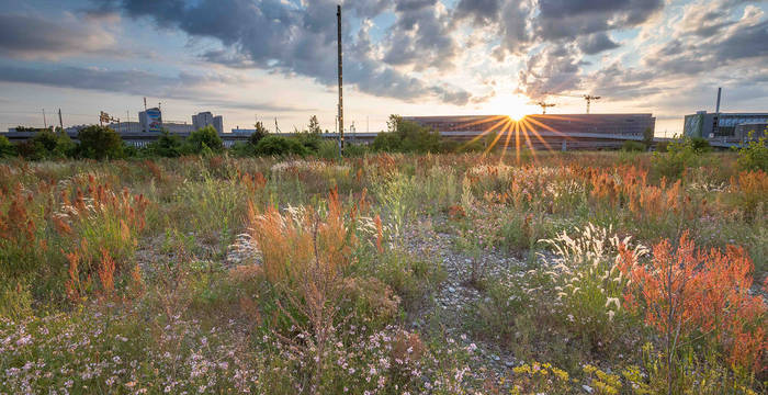 DB-Areal im Abendlicht