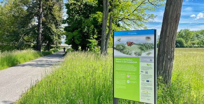 Landschaftspark Wiese © S. Aemisegger