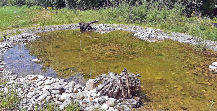 Weiher auf den Breitmatten