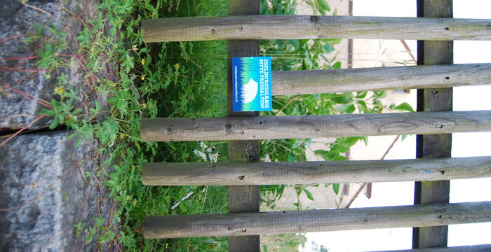 Igel Durchgang