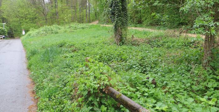 Linsbergweg