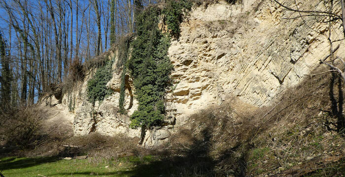 Steilwand Horngraben
