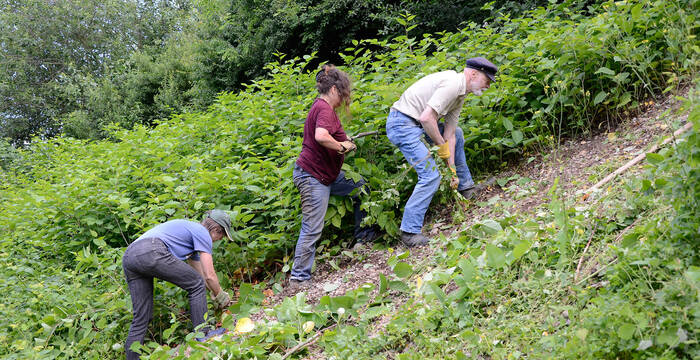 Pfelgeeinsatz weilmatten