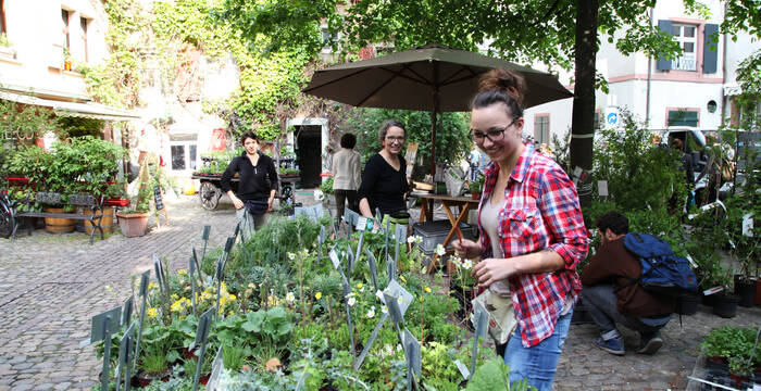 Marktstand ProNatura