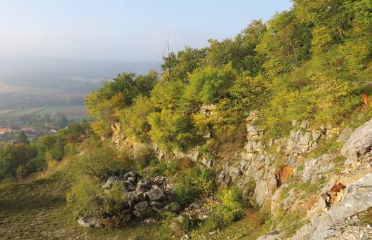 Steinbruch Leymen © Daniel Rüetschi 