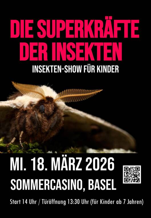 Die Superkräfte der Insekten