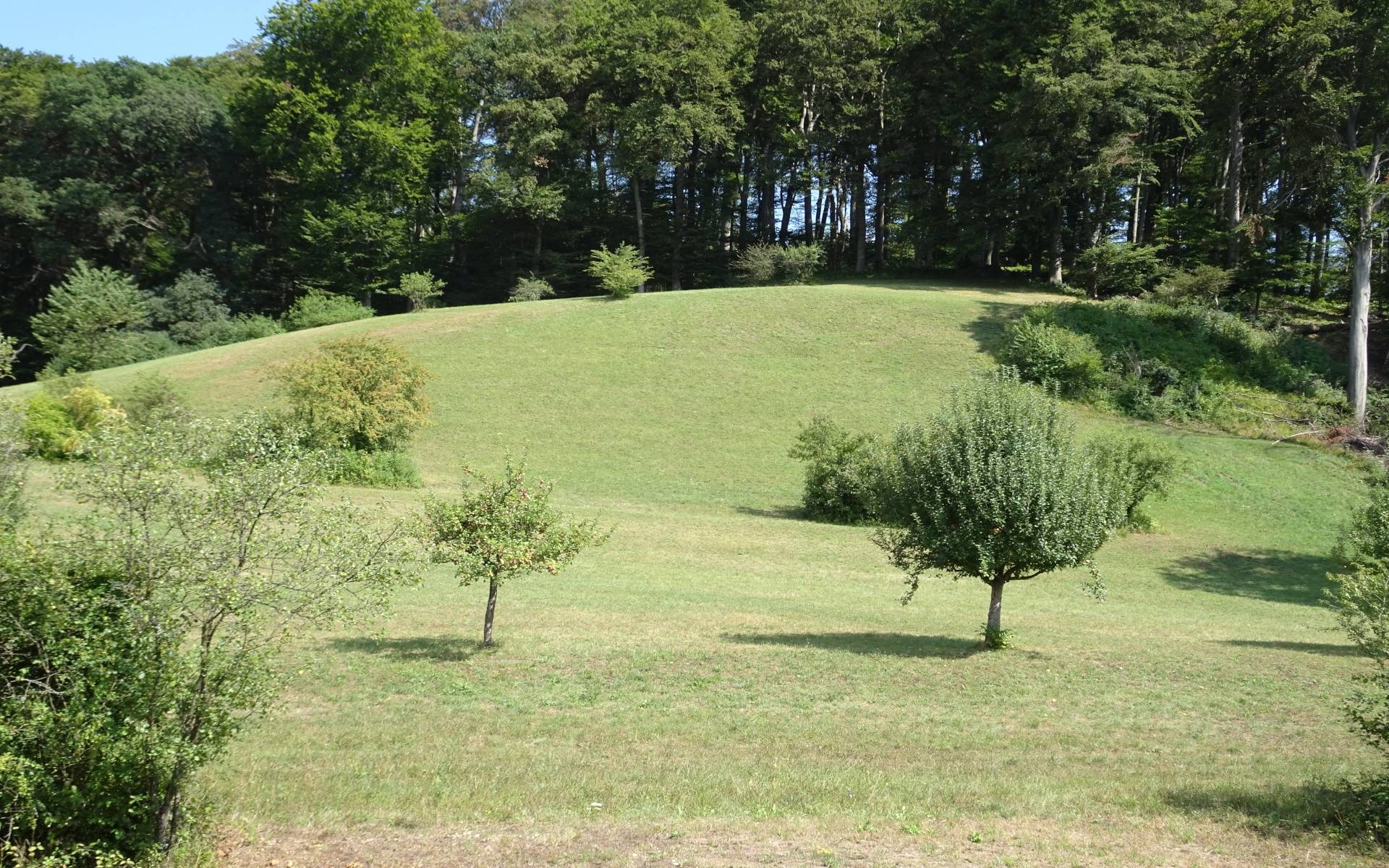 Naturschutzgebiet Rütihard © Daniel Rüetschi