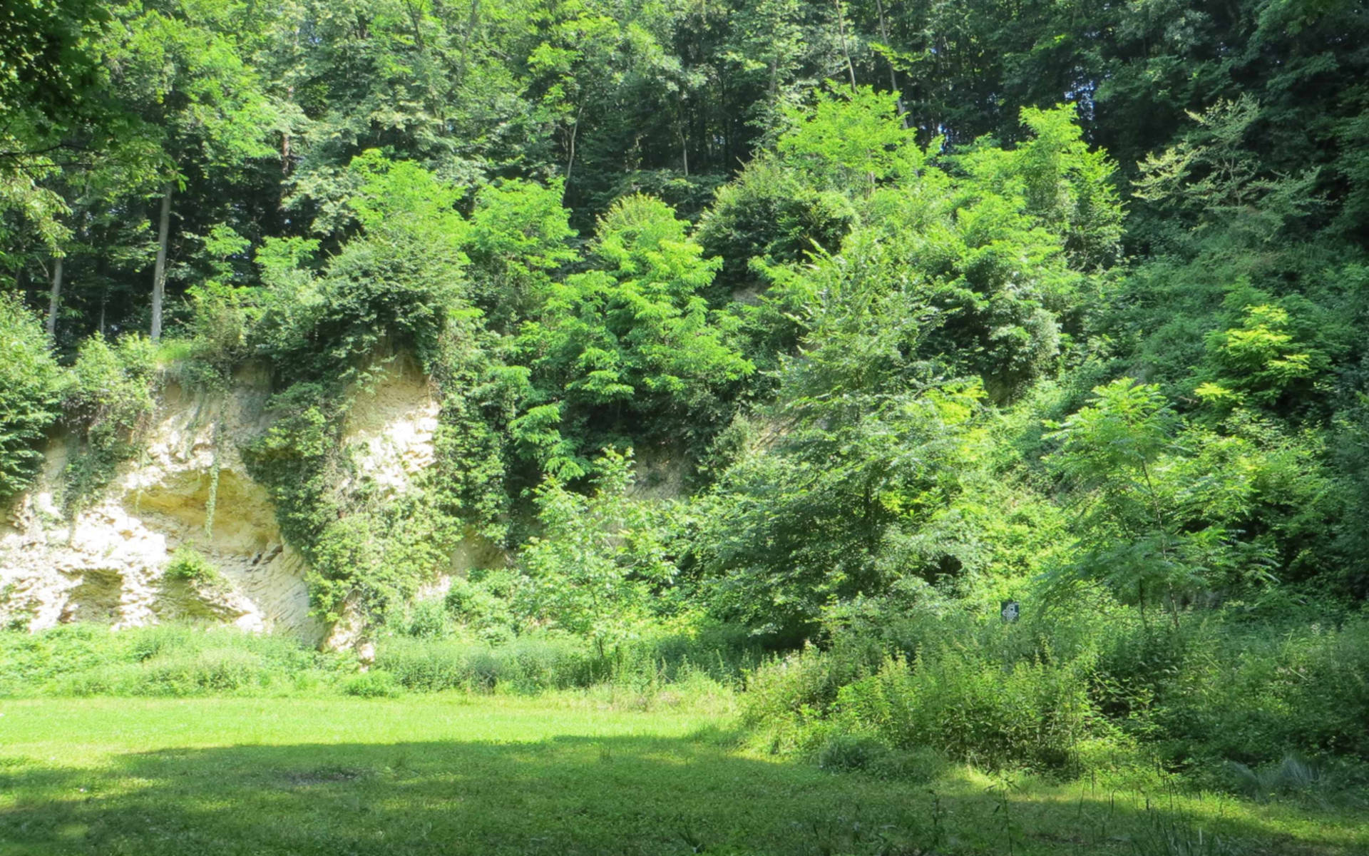 Naturschutzgebiet Horngraben Muschelkalkwand © Daniel Rüetschi