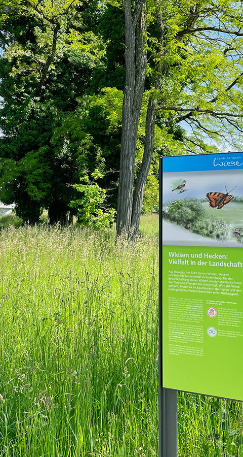 Landschaftspark Wiese