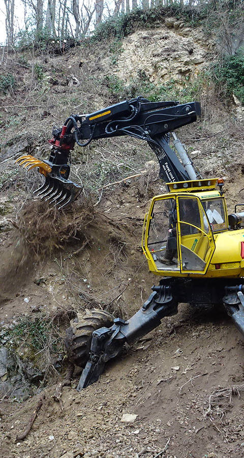 Schreitbagger im Horngraben (Riehen)