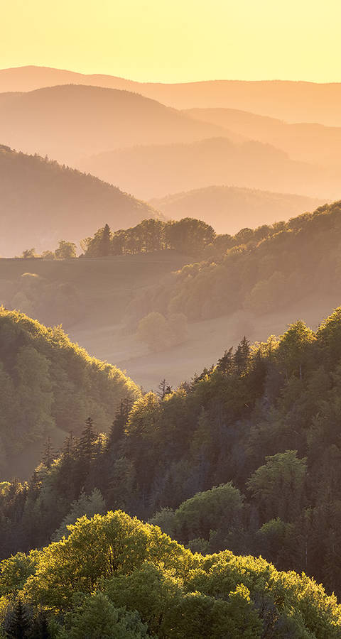 Belchen
