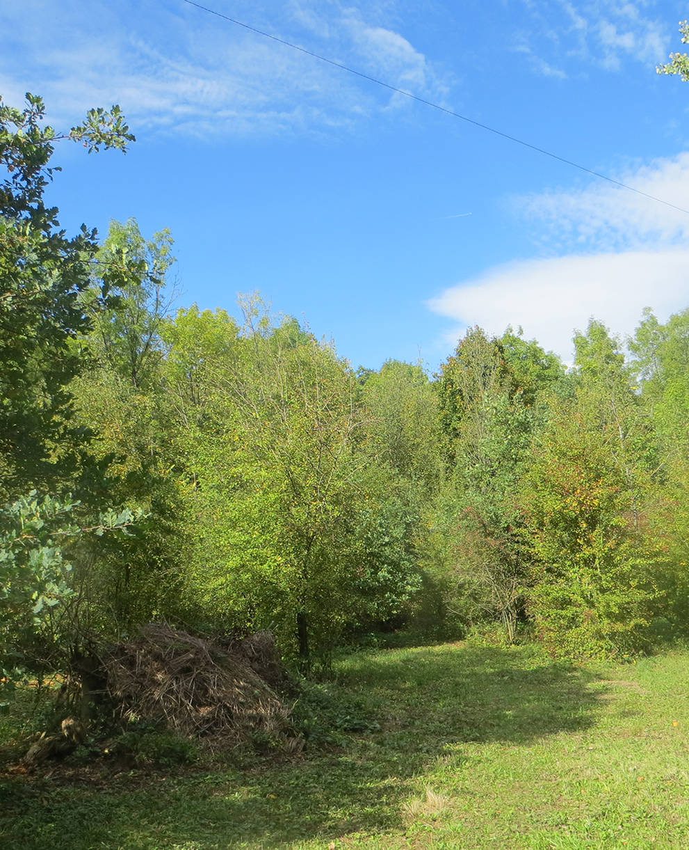 Schutzgebiet Etzmatten Riehen