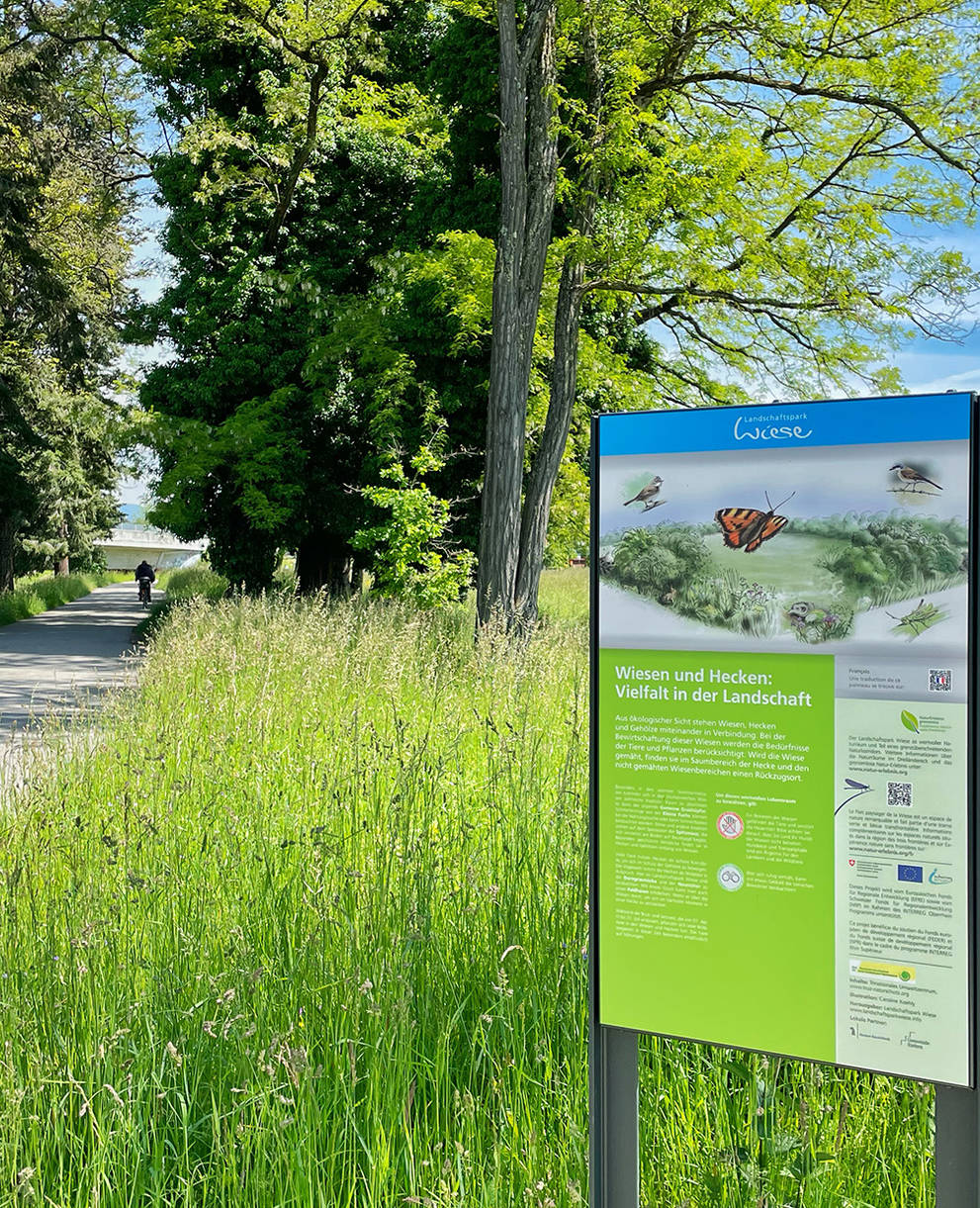 Landschaftspark Wiese