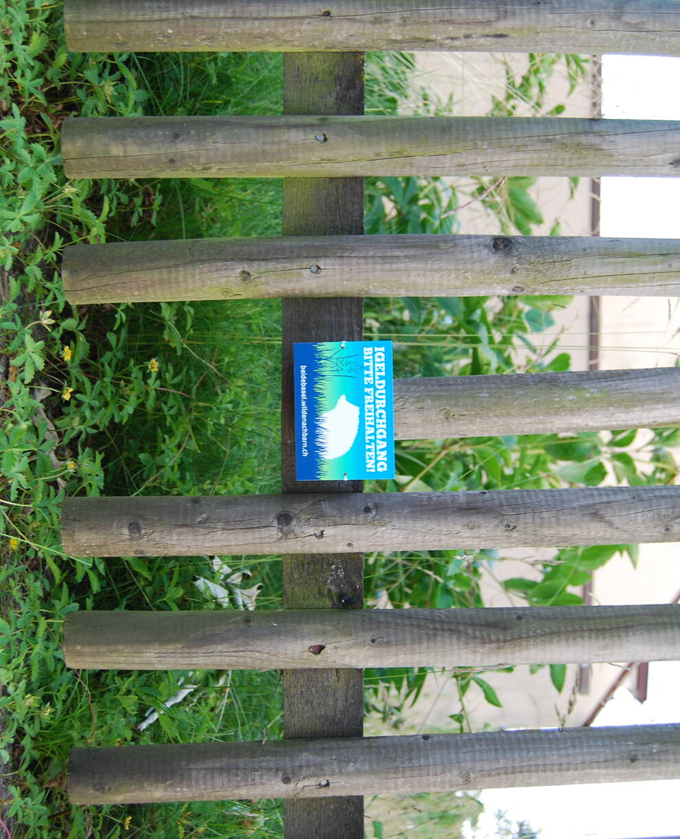 Igel Durchgang