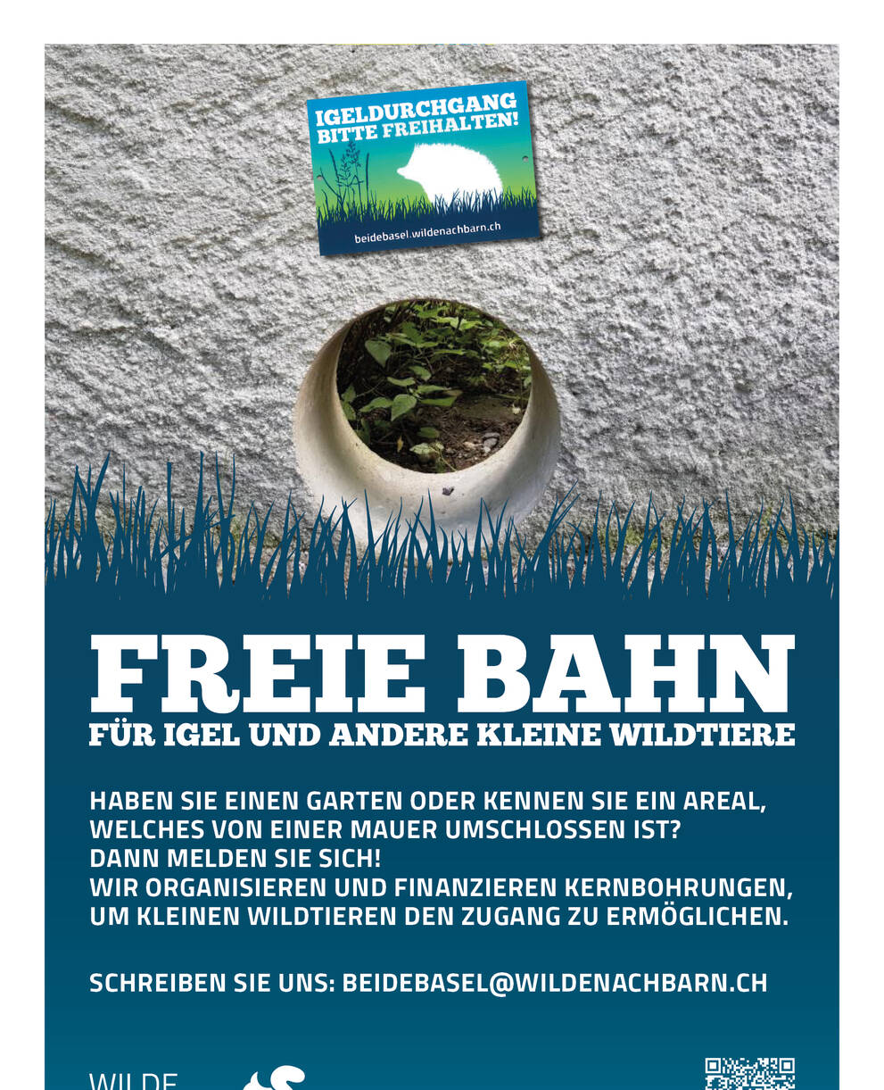 Freie Bahn für Igel
