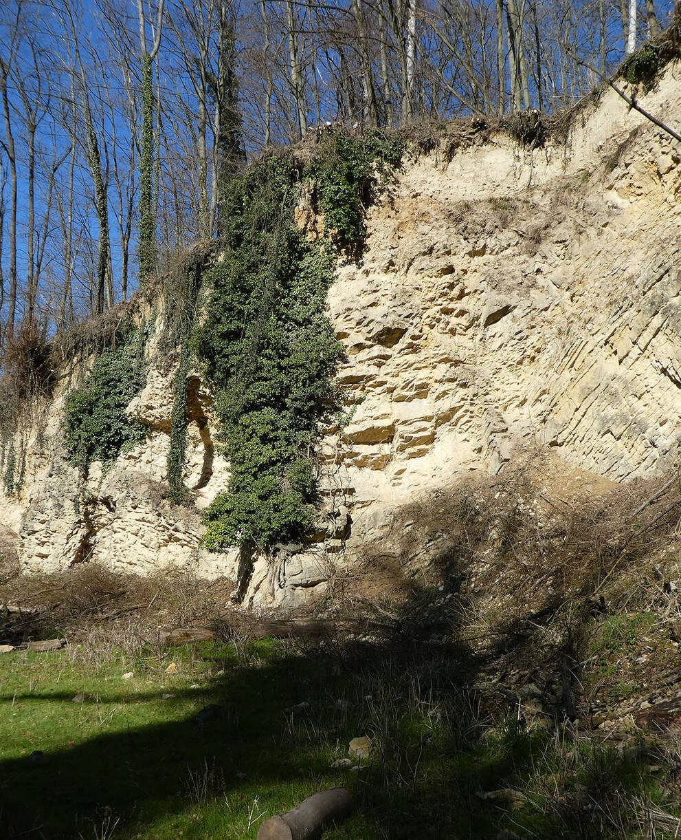 Steilwand Horngraben