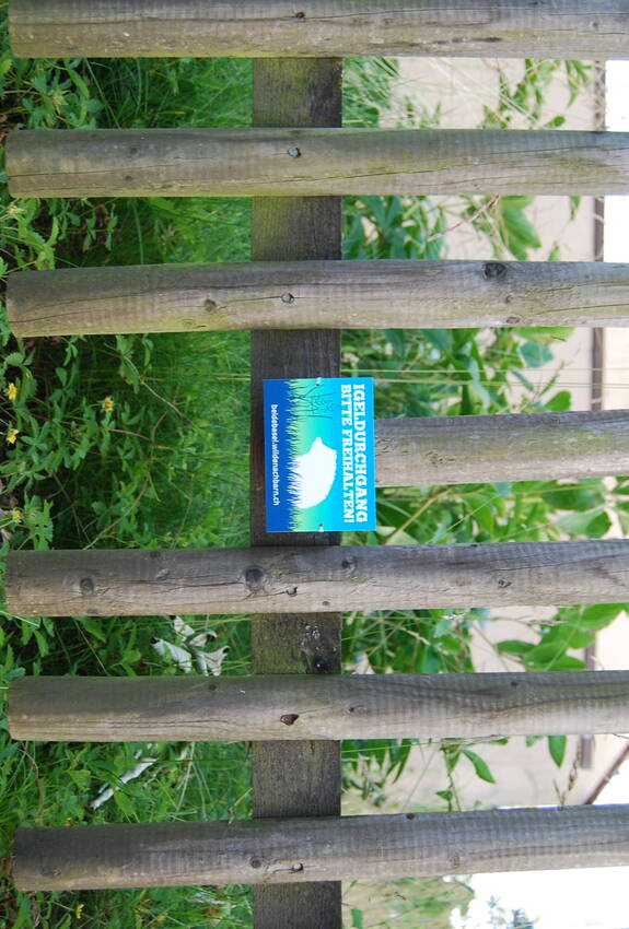 Igel Durchgang