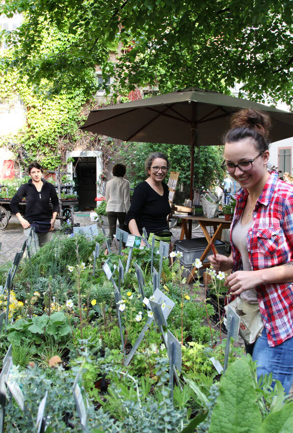 Marktstand ProNatura